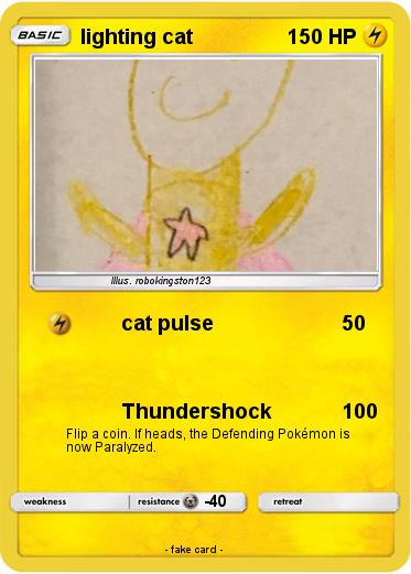 Pokemon lighting cat