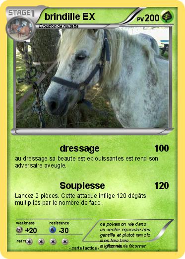 Pokemon brindille EX