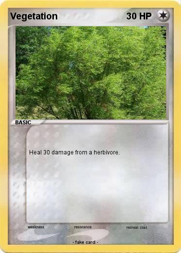 Pokemon Vegetation