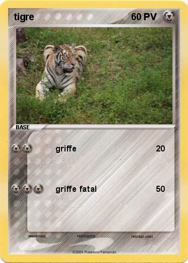 Pokemon tigre