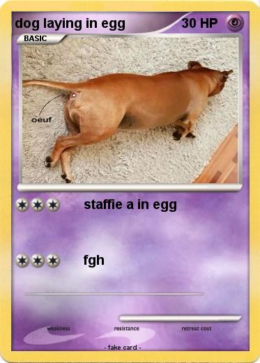 Pokemon dog laying in egg