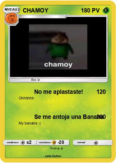Pokemon CHAMOY