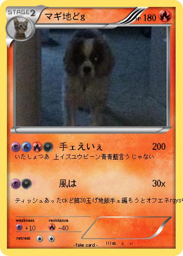 Pokemon マギ地どg