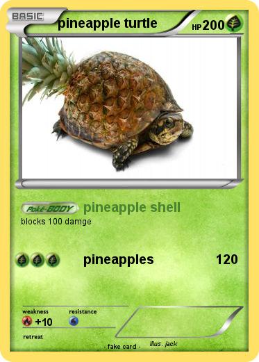 Pokemon pineapple turtle