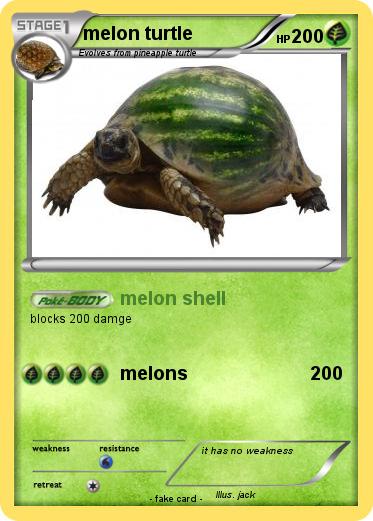 Pokemon melon turtle