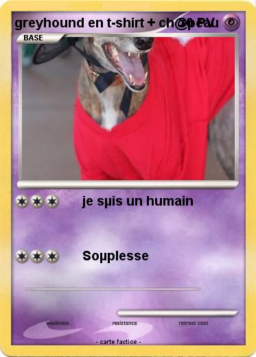Pokemon greyhound en t-shirt + ch@peau