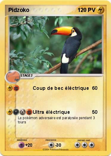 Pokemon Pidzoko