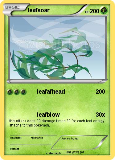 Pokemon leafsoar