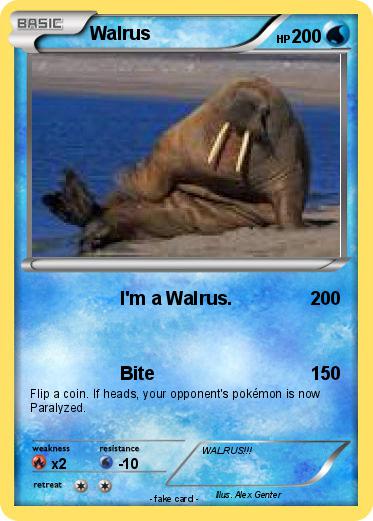 Pokemon Walrus
