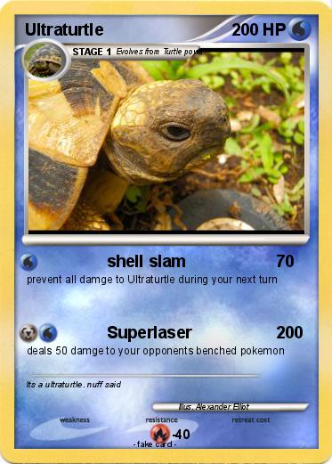 Pokemon Ultraturtle