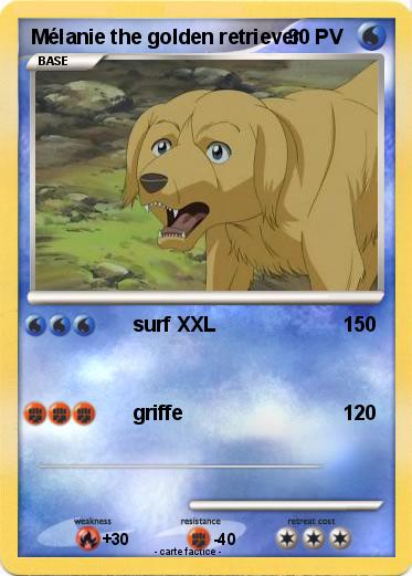 Pokemon Mélanie the golden retriever