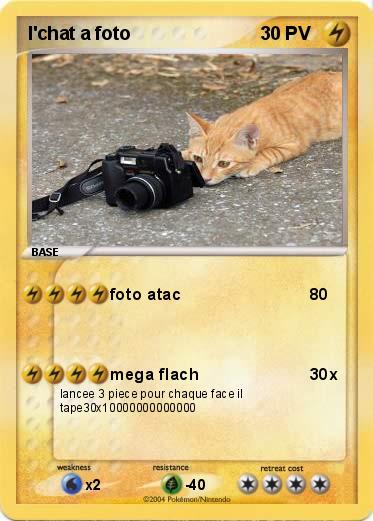 Pokemon l'chat a foto