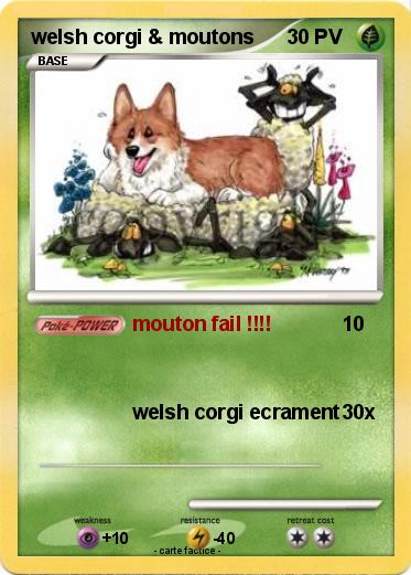 Pokemon welsh corgi & moutons