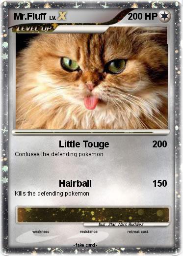 Pokemon Mr.Fluff