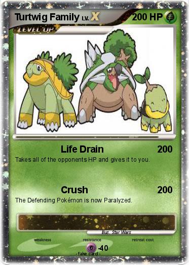 Pokemon Turtwig Family