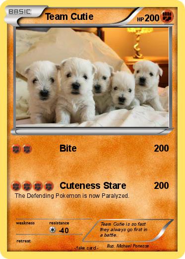 Pokemon Team Cutie