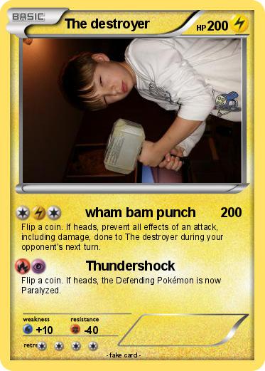 Pokemon The destroyer