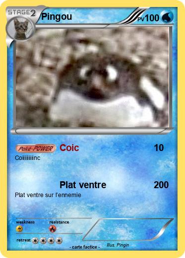 Pokemon Pingou