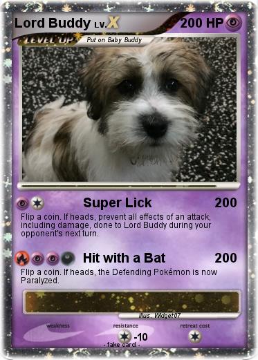 Pokemon Lord Buddy