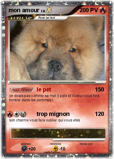 Pokemon mon amour
