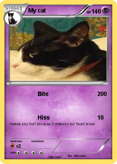 Pokemon My cat