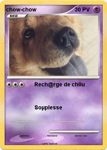 Pokemon chow-chow