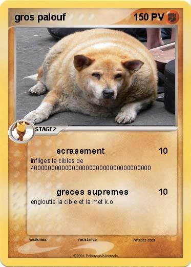 Pokemon gros palouf