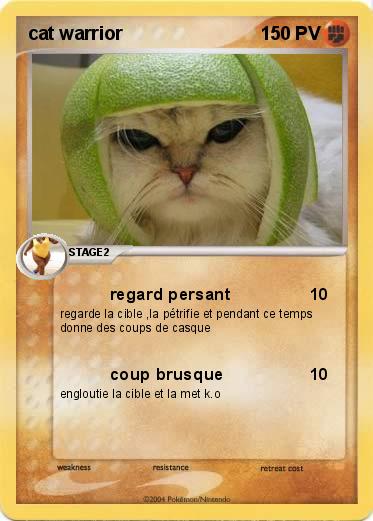 Pokemon cat warrior