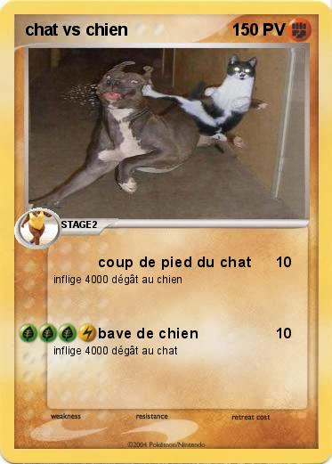 Pokemon chat vs chien