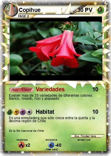Pokemon Copihue