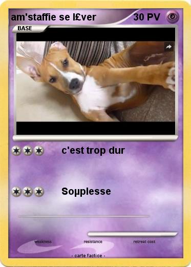 Pokemon am'staffie se l£ver