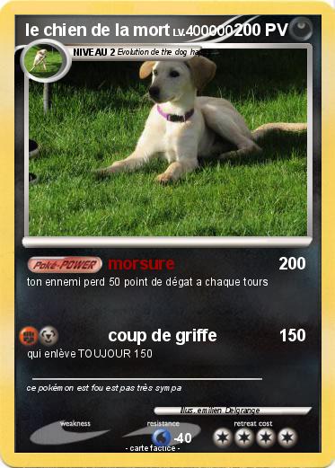 Pokemon le chien de la mort