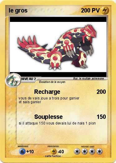 Pokemon le gros