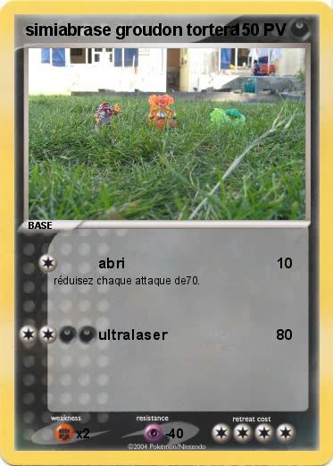 Pokemon simiabrase groudon tortera