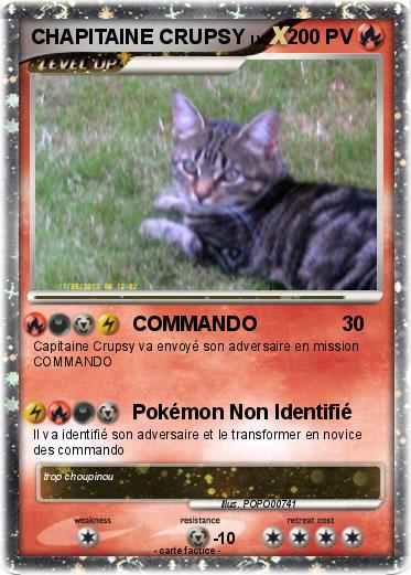 Pokemon CHAPITAINE CRUPSY