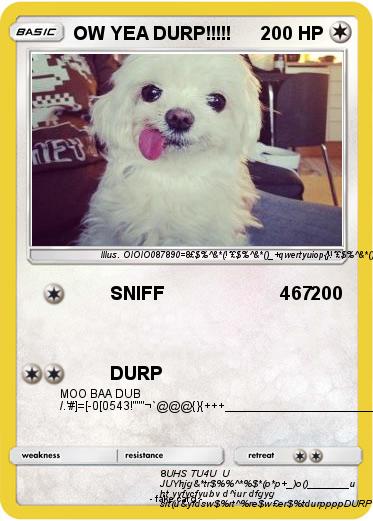 Pokemon OW YEA DURP!!!!!