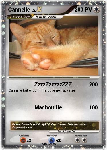 Pokemon Cannelle