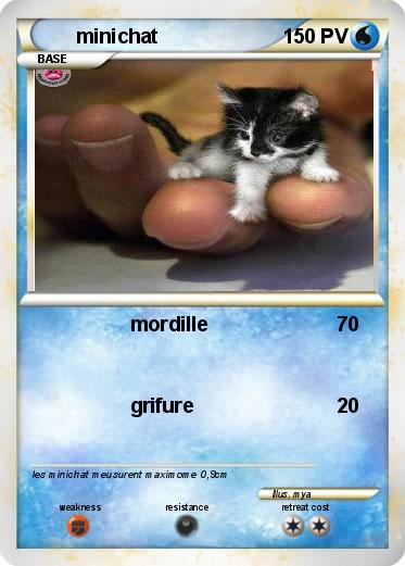 Pokemon minichat
