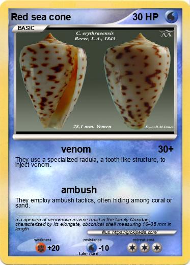 Pokemon Red sea cone