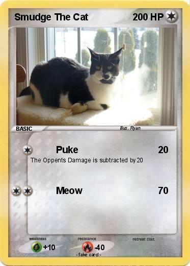 Pokemon Smudge The Cat