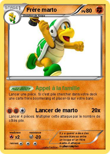 Pokemon Frère marto