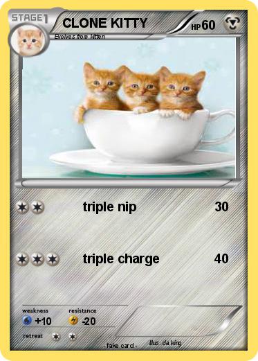 Pokemon CLONE KITTY