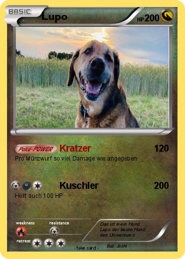 Pokemon Lupo