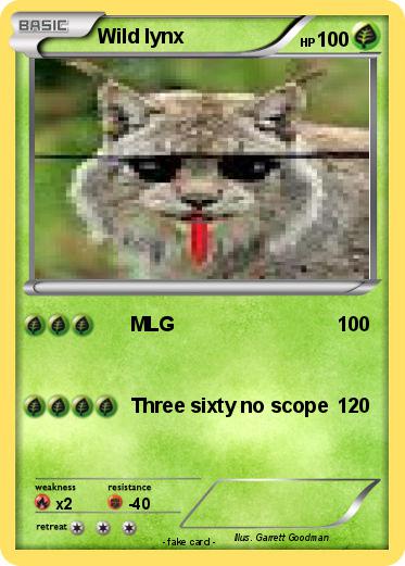 Pokemon Wild lynx