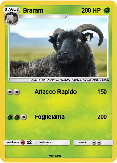 Pokemon Braram