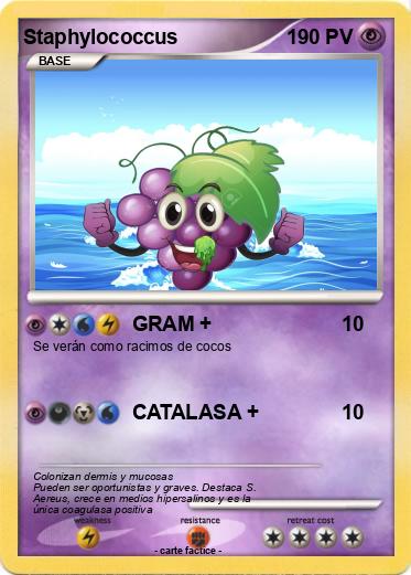 Pokemon Staphylococcus