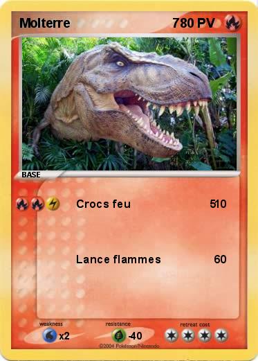 Pokemon Molterre                             7                                         