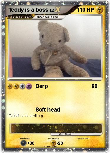 Pokemon Teddy is a boss
