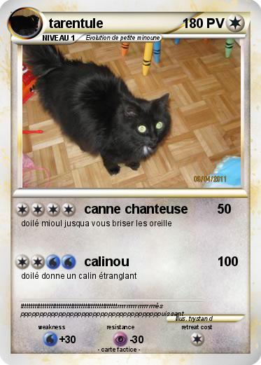 Pokemon tarentule