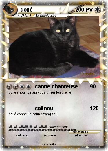 Pokemon doilé